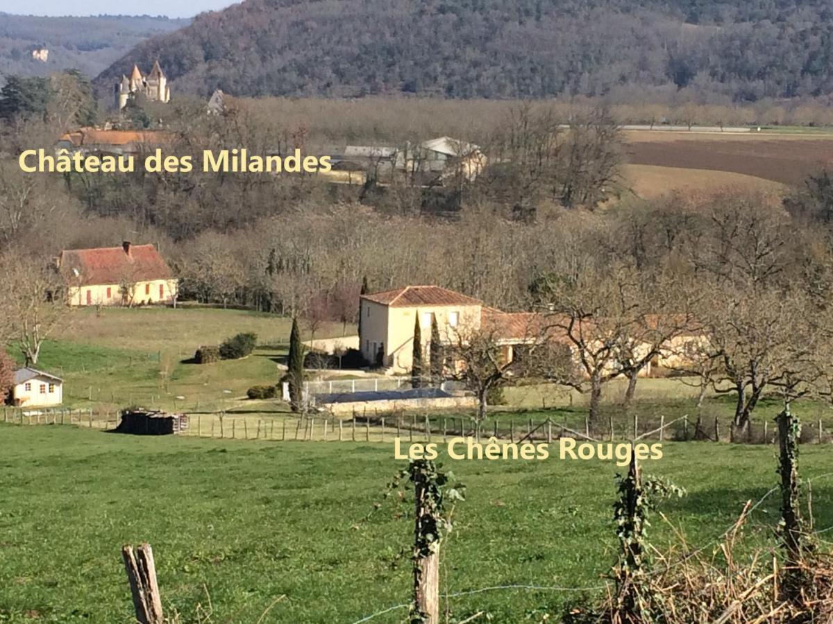 Les Chenes Rouges Bed and Breakfast Veyrines-de-Domme Exteriör bild